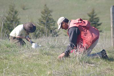 Soil Water | Soil Lab Modules