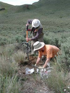 Collecting soil samples for analysis is the best way to quantify and confirm suspected trace element contamination. Proper sampling design and protocols should be followed to obtain reliable data. | Photo by Maja Krzic.