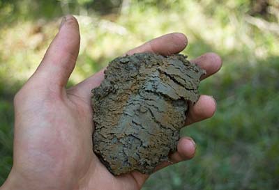 Hand holding soil with red streaks